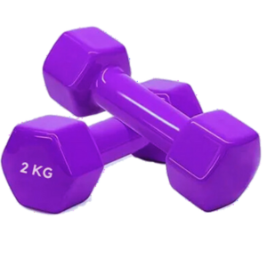 Premium Quality 2kg Vinyl Dumbbell 2 Pcs - Sports And Fitness