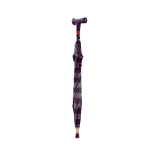 VISION Digital Walking Stick