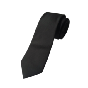 Formal Silk Glossy Tie for Mens