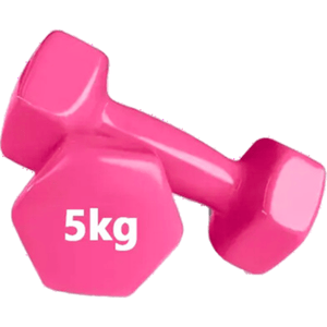 Premium Quality 5kg Vinyl Dumbbell 2 Pcs -Sports And Fitness