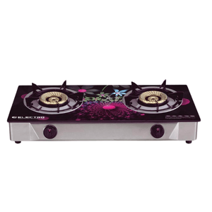 ELECTRO Double Burner Glass Top Gas Stove