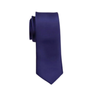 Formal Silk Glossy Tie for Mens