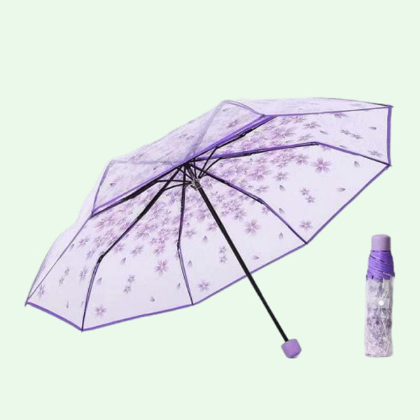 Three Fold Transparent Umbrella Cherry Blossom Korean Version