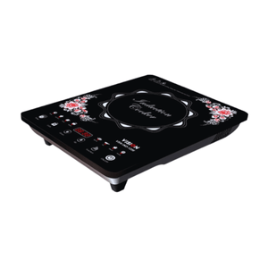 VISION Induction Cooker VISION-1206 Eco